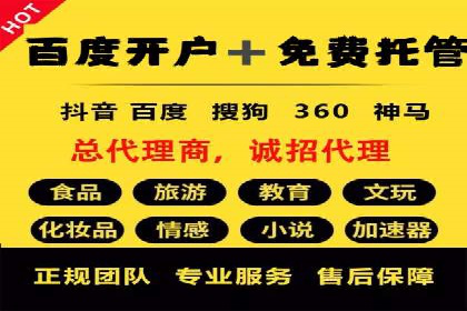 某电商平台的sem竞价推广托管经验